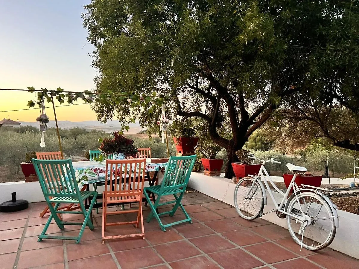 Villa Maria Teresa Malaga Holiday home