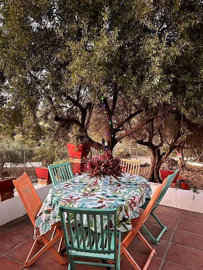 Villa Maria Teresa Malaga 0*,