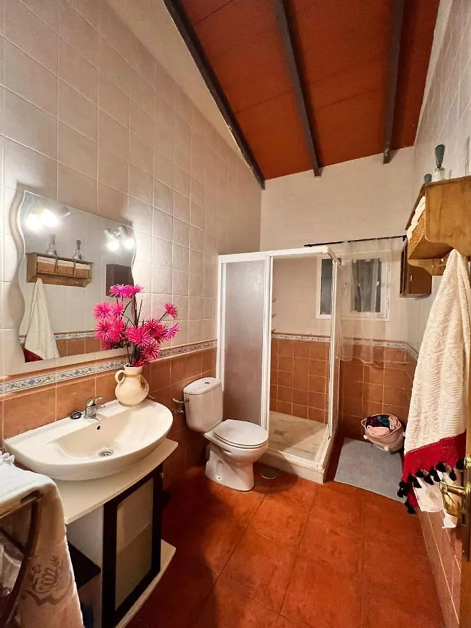 Villa Maria Teresa Malaga Holiday home